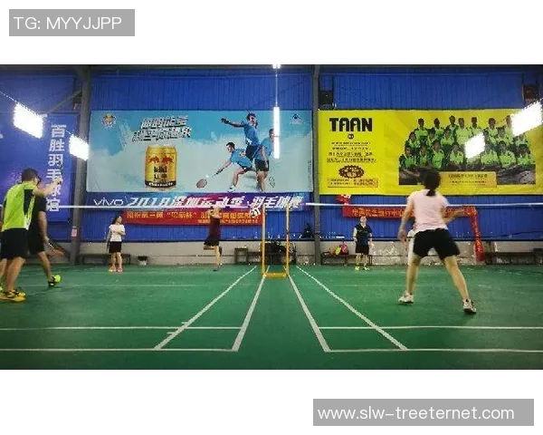 深圳羽毛球队在联赛中的速度表现分析与战术探讨